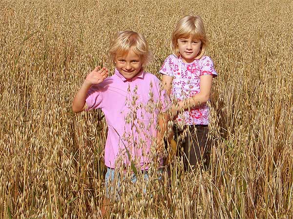 Kinder spielen auf dem Reibehof