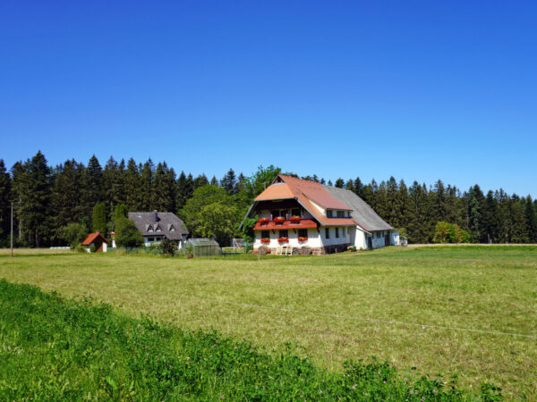 Der Reibehof im Sommer